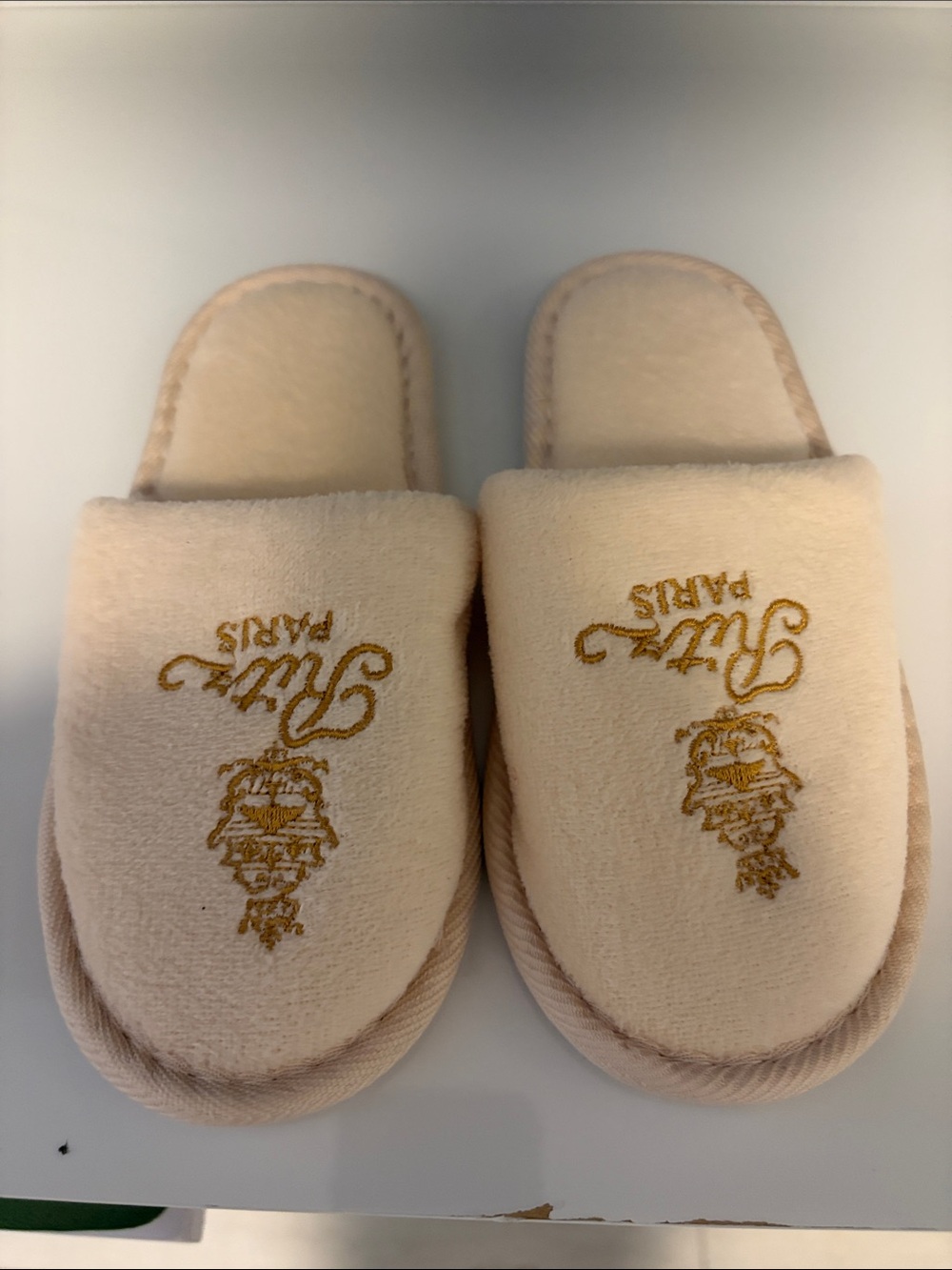 Ritz Paris Plush Kids Slippers in Light Beige with Gold Embroidery